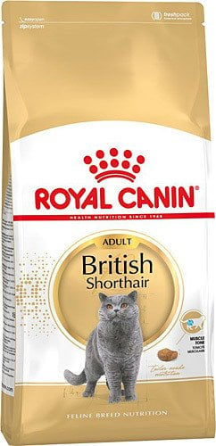 Royal Canın British Shorthair Için Özel Yetiskin Kedi Mamasi 10 Kg (stt.02/2025)