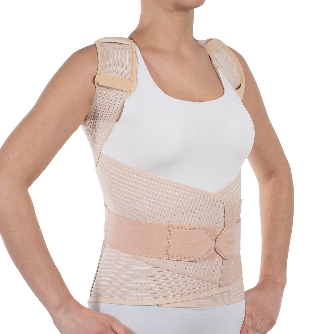 WINGMED Dorselomber Korse (W 406-2)