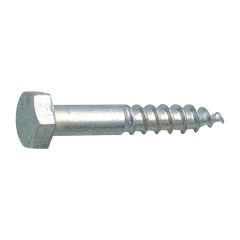 Trifon Cıvata 10x100