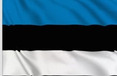 ESTONYA Bayrağı 70x105cm
