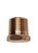 BEST ANODE Kohler Motor Tapa 221838T Prinç