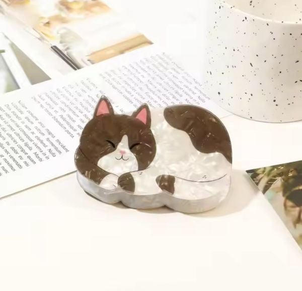 Uyuyan Sevimli Kedi Kemik Toka