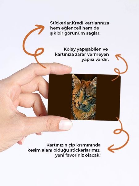 Kedi 1 Kredi Kartı Kaplama Stickeri Papara, Tosla, Kredi Kartı Için Uyumlu