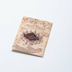 Çapulcu Haritası Mini Defter