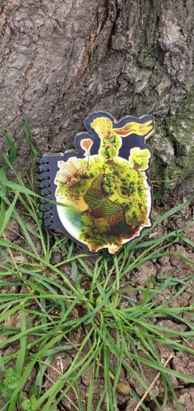Küçük Prens Tasarımlı Şekilli Defter