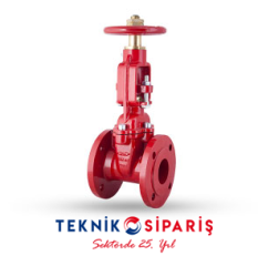 DN150 6'' FLANŞLI YÜKSELEN MİLLİ (OS&Y) VANA