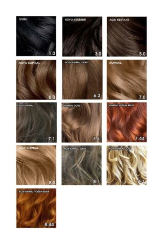 Prozinc Color 8.1 Kumral - Amonyaksız Bitkisel Kalıcı Saç Boyası