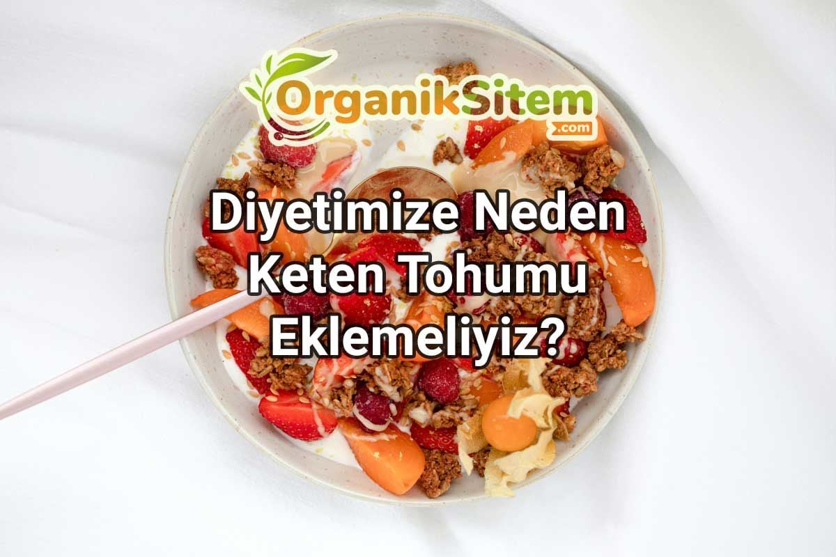 Diyetimize Neden Keten Tohumu Eklemeliyiz?