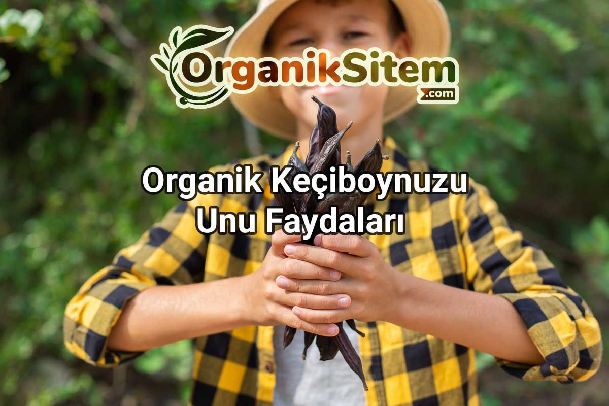 Organik Keçiboynuzu Unu Faydaları 