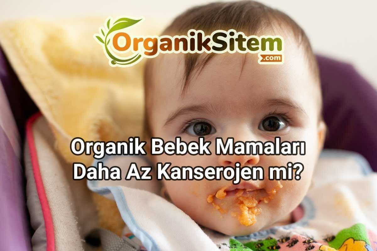Organik Bebek Mamaları Daha Az Kanserojen mi?