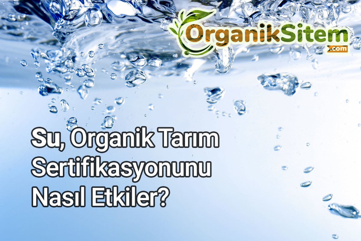 Su Organik Tarım Sertifikasyonunu Nasıl Etkiler?