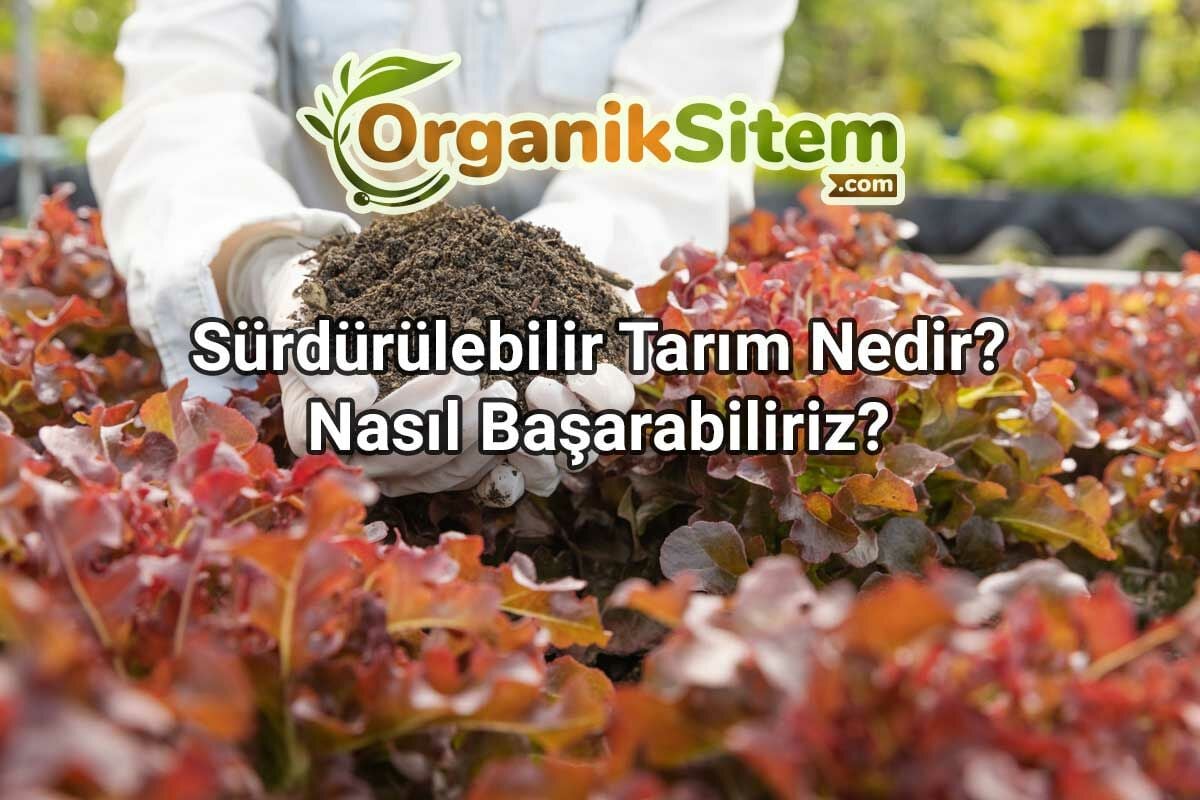 Sürdürülebilir Tarım Nedir? Nasıl Başarabiliriz?