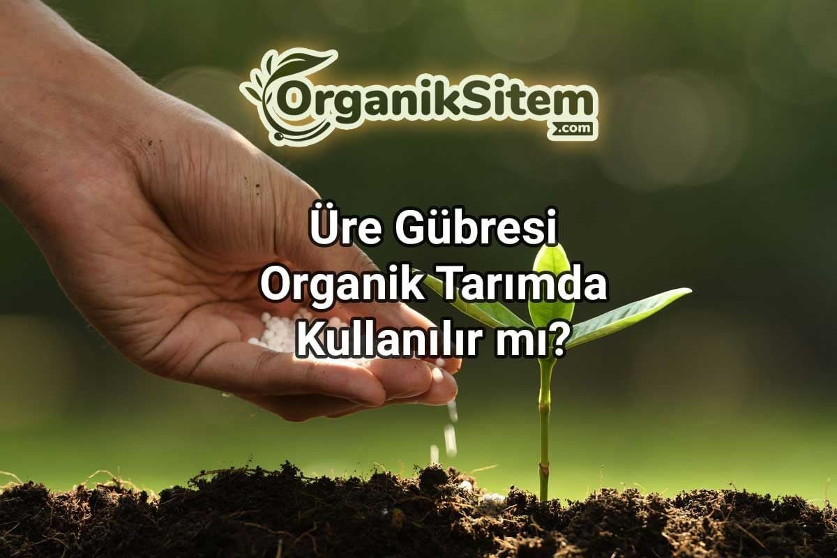 Üre Gübresi Organik Tarımda Kullanılır mı?