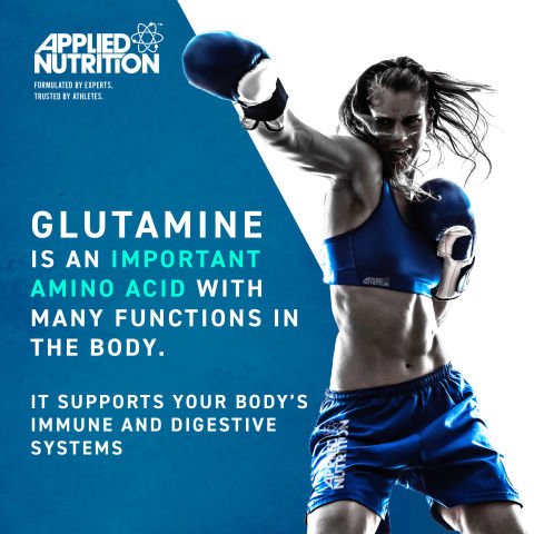 Glutamine Powder 500G