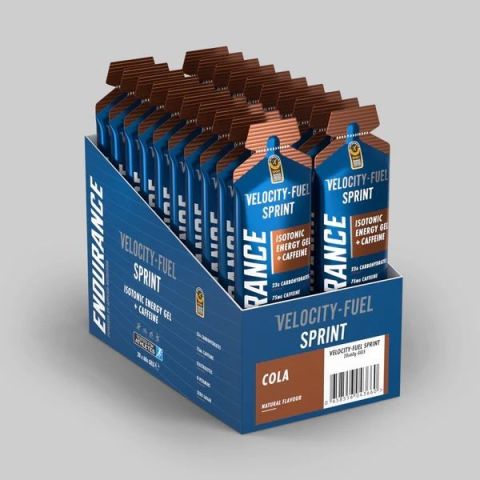 Endurance Gel 20x60G