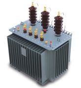 100 kVA 28,5-36/0,4kV Hermetik Trafo TEDAŞ MLZ 99/032-D