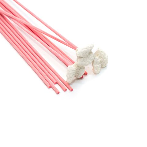 12li Kanat Taşlı Pembe Suni Kamış Seti