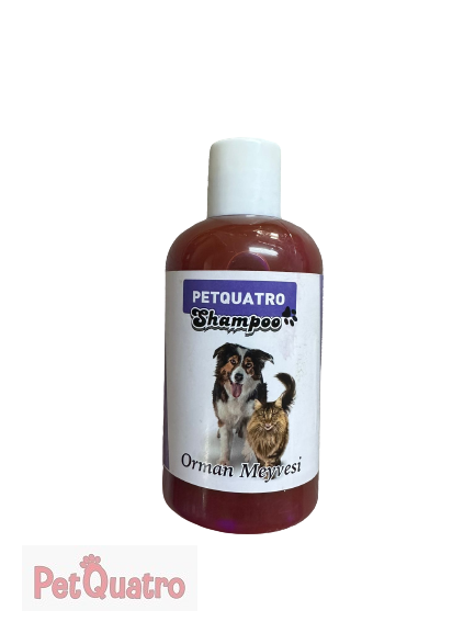 PETQUATRO ORMAN MEYVELİ KEDİ KÖPEK ŞAMPUAN 250ML