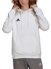 adidas Erkek sweatshirt Entrada 22 Hoody HG6302
