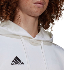 adidas Erkek sweatshirt Entrada 22 Hoody HG6302