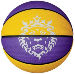 Nike Playground 2.0 8P L James Deflated Unisex Mor Basketbol Topu N.100.4372.575.07