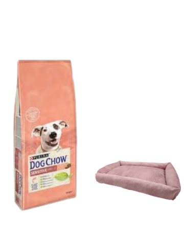 Dog Chow Somonlu Yetişkin Köpek Maması 14 Kg,Mini Small Pembe Yatak