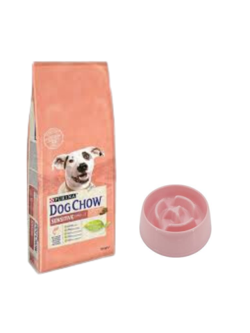 Dog Chow Somonlu Yetişkin Köpek Maması 14 Kg,Yavaş Yeme Mama Kabı 375 Ml.