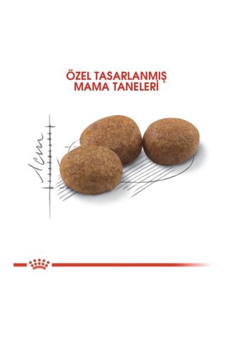 Royal Canin Sterilised 37 Kısırlaştırılmış Yetişkin Kedi Maması 15 KG