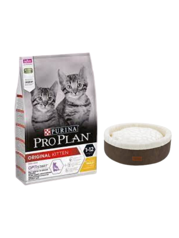 Pro Plan Kitten Tavuklu Yavru Kedi Maması 10 Kg,Kahve Mia Donut Yatak