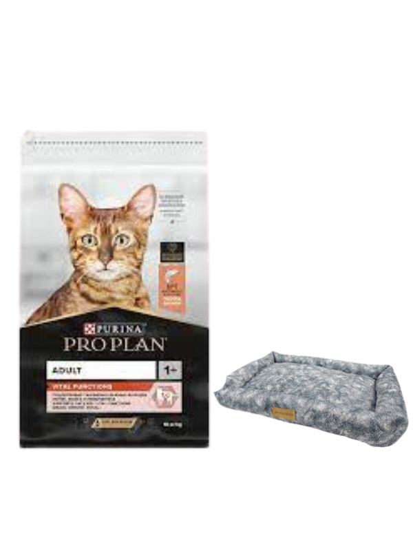 Pro Plan Adult Somonlu Yetişkin Kedi Maması 10 Kg, Mini Small Colours Yatak