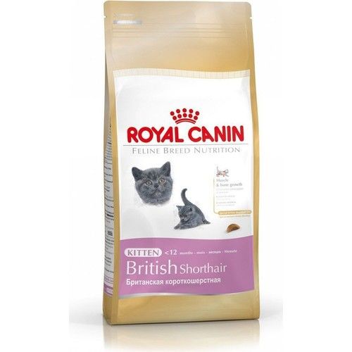 Royal Canin British Shorthair Için Özel Yavru Kedi Mamasi 2 Kg