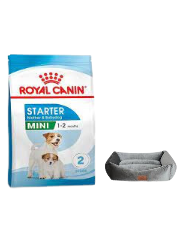 Royal Canin Mini Starter Mother&Babydog Köpek Maması 4 Kg, Mini Small Gri Yatak