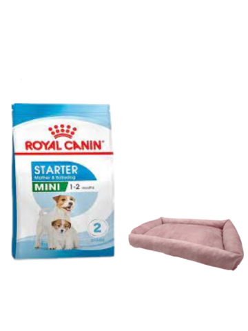 Royal Canin Mini Starter Mother&Babydog Köpek Maması 4 Kg, Mini Small Pembe Yatak