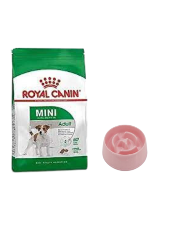 Royal Canin Mini Adult Yetişkin Kuru Köpek Maması  4 Kg,Yavaş Yeme Mama Kabı 175 Ml.