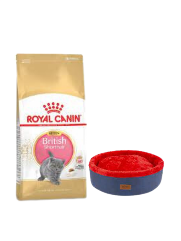 Royal Canin British Shorthair Kitten Yavru Kuru Kedi Maması  2 Kg,Lacivert Mia Donut Yatak