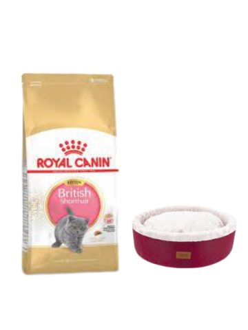 Royal Canin British Shorthair Kitten Yavru Kuru Kedi Maması  2 Kg,Bordo Mia Donut Yatak