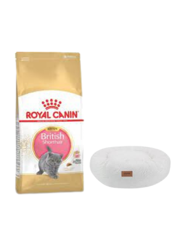 Royal Canin British Shorthair Kitten Yavru Kuru Kedi Maması  2 Kg,Beyaz Luxe Donut Yatak