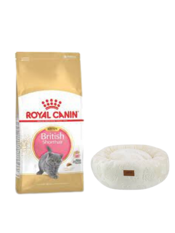 Royal Canin British Shorthair Kitten Yavru Kuru Kedi Maması  2 Kg,Krem Luxe Donut Yatak