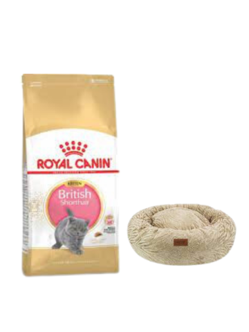 Royal Canin British Shorthair Kitten Yavru Kuru Kedi Maması  2 Kg,Kahve Luxe Donut Yatak