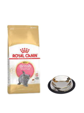 Royal Canin British Shorthair Kitten Yavru Kuru Kedi Maması  2 Kg,Kaymaz Tabanlı Su ve Mama Kabı