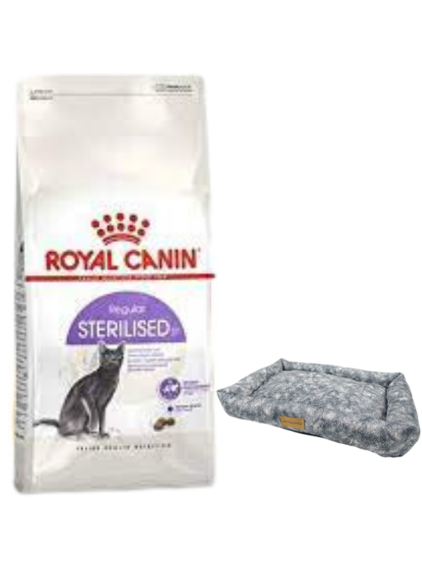 Royal Canin Sterilised 37 Kısırlaştırılmış Kuru Kedi Maması 4 Kg, Mini Small Colours Yatak