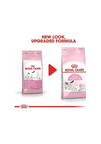 Royal Canin Mother & Baby Cat Yavru Kedi Maması 4 KG