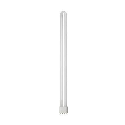 GE 36W 4 Pinli BIAX-L PLC Ampül Renk Seçenekli (10'lu kutu)