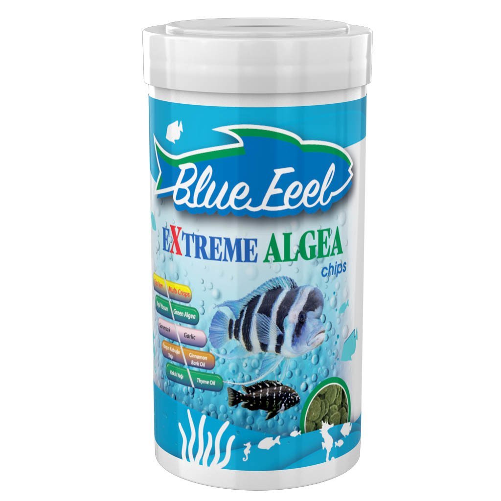 BLUE FEEL EXTREME ALGEA CHIPS 100ML 30GR