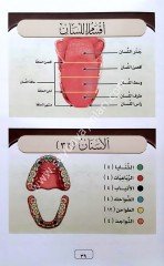 El İtkan fi Tecvid El-Kuran / الإتقان فس تجويد القران