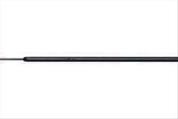 BAGAJ AMORTISOR 5 KAPI ( MITSUBISHI: COLT VI 04 - 10 ) 589mm 460N