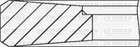 PISTON SEGMANI 108,00MM STD VOLVO FE-FL II-FL III / RENAULT PREMIUM2 - MIDLUM TAD 734 GE EURO 2