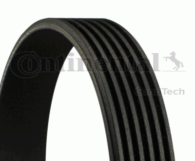 V Kayışı 6Pk1568 / 6Pk1572 A4 Alz-Bfb-Alt 1,6-2,0 Fsi