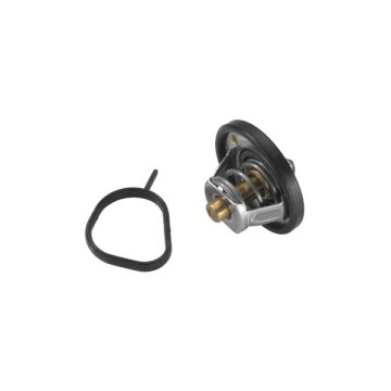 Termostat (82C) Ford Mondeo 1.6Tı (Zetec) (48 Ters Küçük Bilya Kupilya) (Kauçuk Klape)