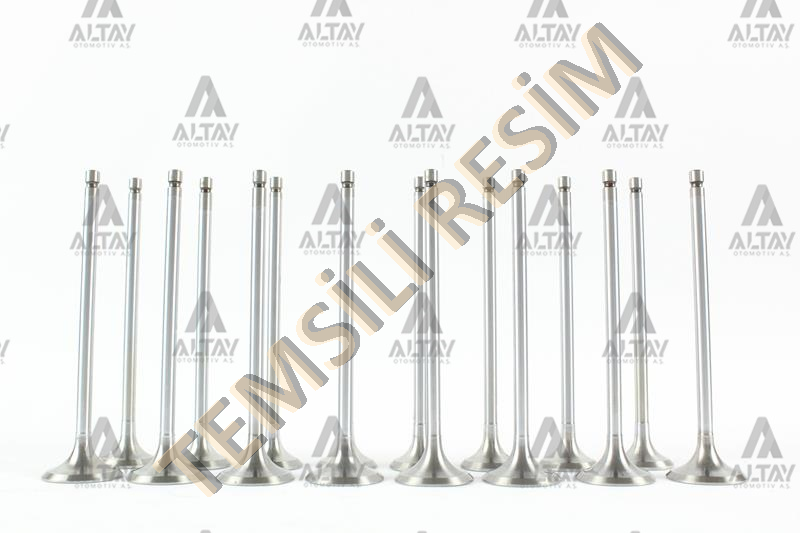 SUPAP TAKIM PASSAT / GOLF5 / JETTA / A3 / A4 / LEON (BKP-BKD-BRE-BMM-BMR-BUZ-BLB) 2.0 TDI 16V